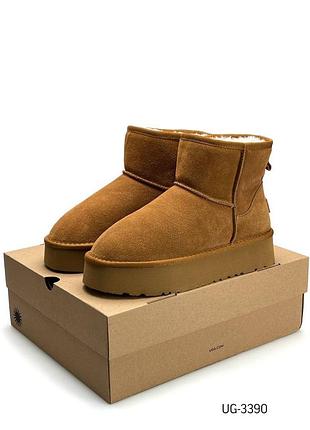 Жіночі зимові уггі ugg classic mini platform cinnamon fur