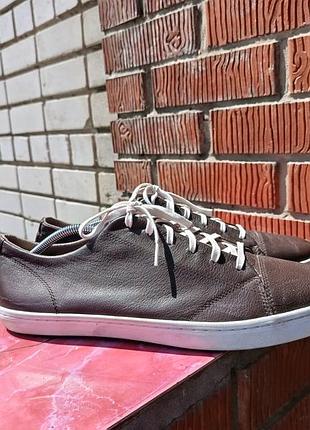 Мужские кожаные кеды / кеды-кежуал cole haan grand.os (оригинал)