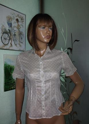 Блуза сорочка nadine h