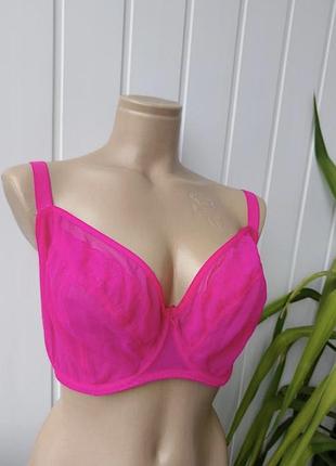 Curvy kate 32gg