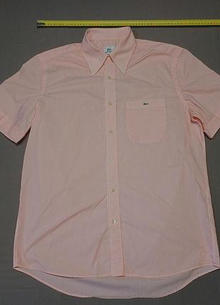 Воротник 42 см lacoste в полоску тенниска size 42 
100% cotton