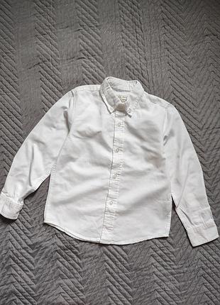 Біла бавовняна сорочка zara boys