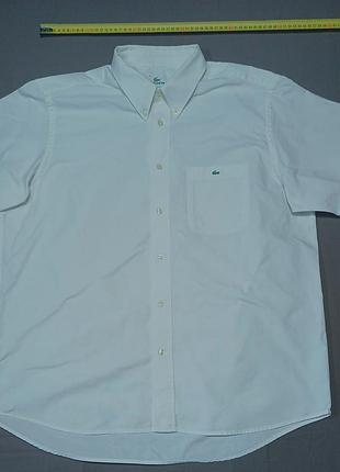 Комір 44 см  lacoste біла  oxford теніска   size 44  гудзики брендовані 
100% cotton