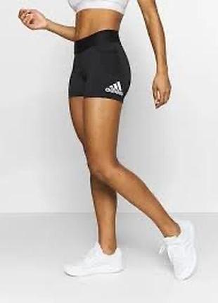 Спортивні жіночі шорти adidas короткі