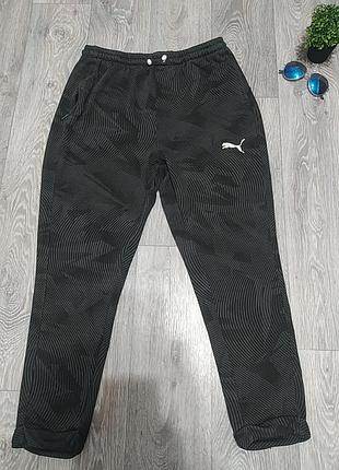 Жіночі спортивні штани puma