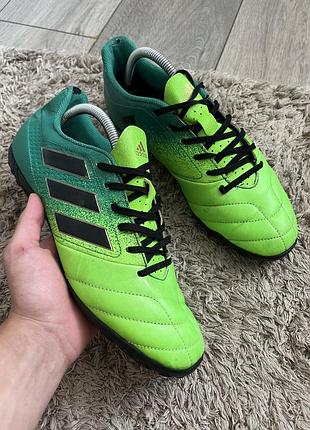 Сороконожки adidas