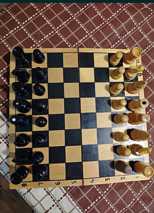 Шахова дошка з шахами