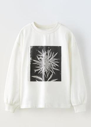 Реглан от zara с классным принтом