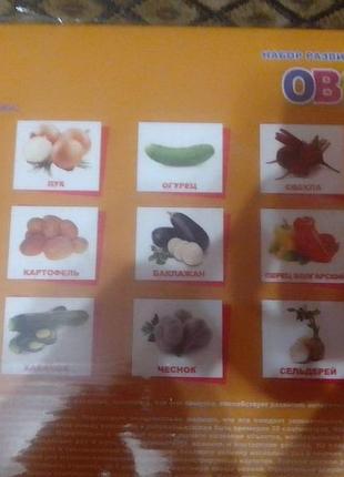 Развивающие карточки (овощи) 2