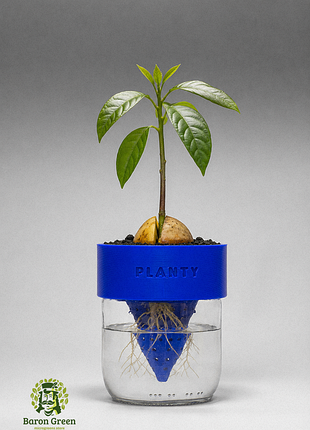 Planty - преврати пустые банки в полезный декор.