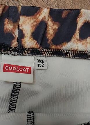 Велосипеди coolcat l9 2