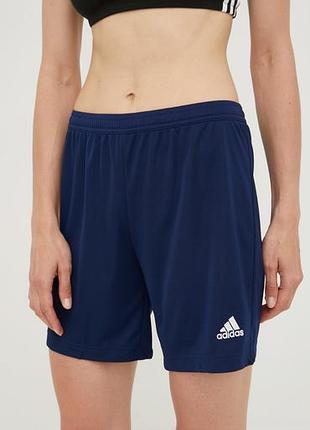 Спортивні шорти adidas