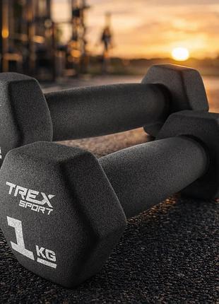 Гантели trex sport tx-010vd 2x1 кг неопреновые чугунные шестигранные для домашних тренировок и фитнеса