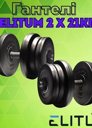 Гантелі розбірні elitum 2 х 21кг диски abs 5/2.5/1.25 кг гриф 45 см діаметр отвору 31мм