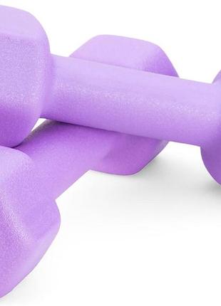 Гантелі для фітнесу неопренові gymtek hex 2х2кг бузковий