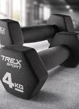 Гантели неопреновые шестигранные trex sport tx-040vd 2x4 кг антискользящие для дома и фитнеса