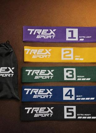Набір резинок для фітнесу trex sport tx-033pra set a 5в1 2,5-25кг тканинні гумки опору 33см з антиковзким покриттям і чохлом