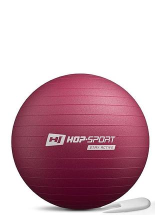 Фітбол hop-sport 45см hs-r045yb сливовий + насос