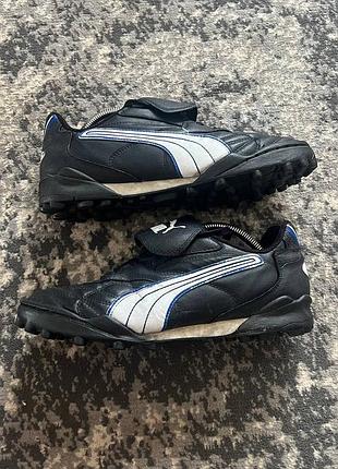 Продаю сороконіжки puma king