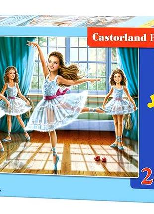 Пазлы 260 элементов для дома 32 х 23 см картон castorland mc-8722