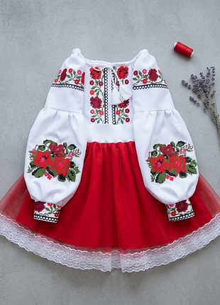 Вишита сорочка костюм