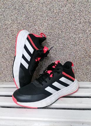 Кросівки adidas