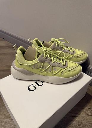 Кросівки guesd