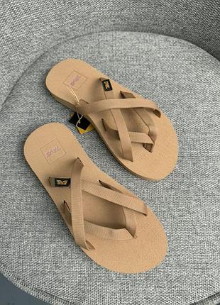 Teva olowahu