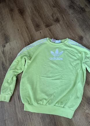 Світшот adidas