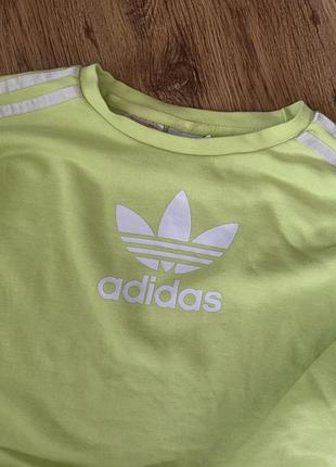 Світшот adidas 5