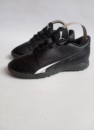 Сороконожки puma