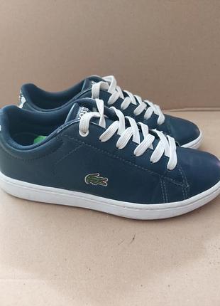 Кросівки- кеди lacoste. оригинал. размер 33 устілка 21см