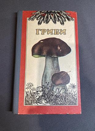 М.я.зерова гриби