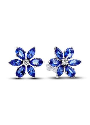 Сережки pandora "блискучий синій гербарій" 292407c01