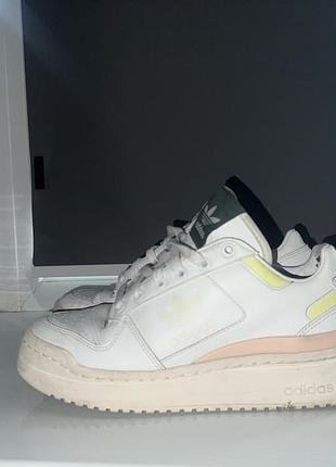 Кроссовки adidas forum bold