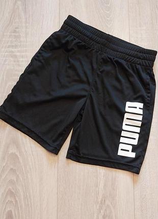Шорти puma 2