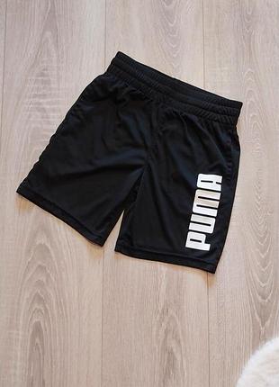 Шорты puma