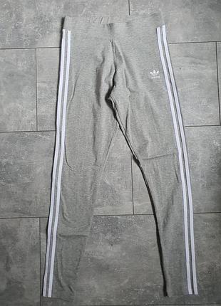 Жіночі лосини adidas