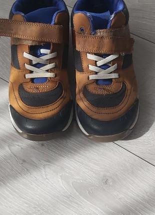 Кросівки clarks