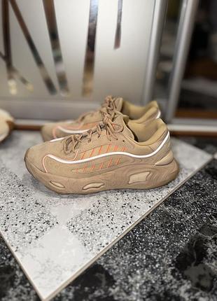 Кросівки бежеві adidas oznova m