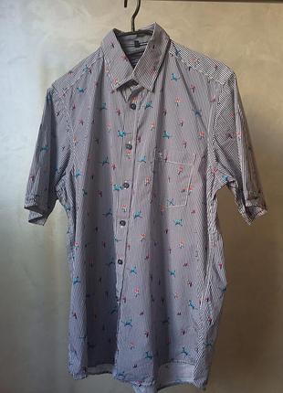 Рубашка рубашка мужская casa moda casual fit идеальное состояние размер m цвет полоска с рисунком