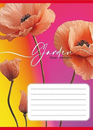 Зошит учнівський "естетика" 024-550443k-5 в клітинку, 24 аркуші