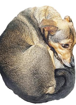 Детская мягкая игрушка "собака маня" dog-m 42 см
