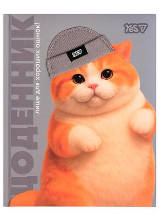Щоденник шкільний yes chunky cat твердий , a5, 40 аркушів