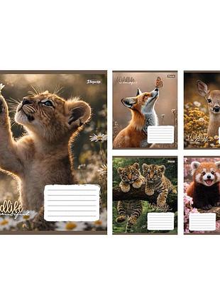 Тетрадь школьная 1вересня wildlife is beautiful а5 24 листов линия