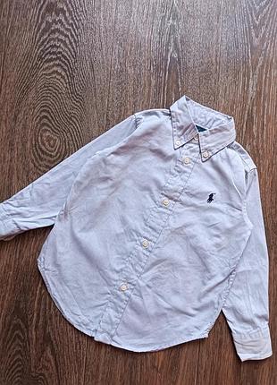 Сорочка ralph lauren