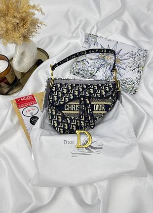 Dior saddle logo