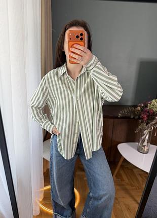 Зелено біла сорочка в смужку new look