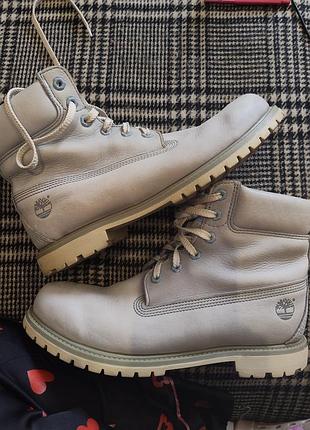 Світло-сірі черевики timberland 6-inch premium з нубуку.