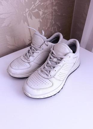 Кроссовки женские ecco